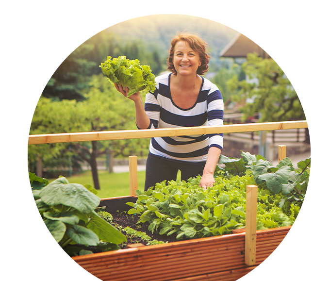 themenwelt bubble titel hochbeet fuer anfaenger 680x579